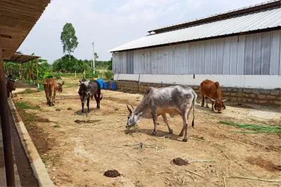 Our Farm
