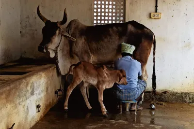 Our Farm