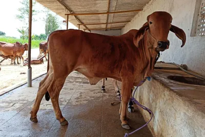 Our Farm