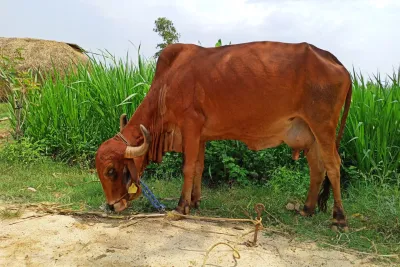 Our Farm