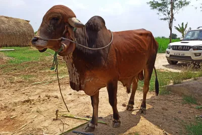 Our Farm