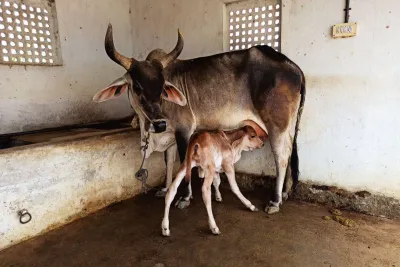 Our Farm