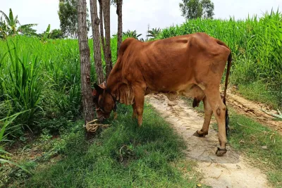 Our Farm