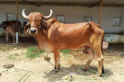 Our Farm