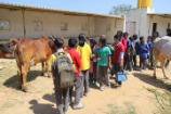 Vrindavan Farm Visit