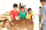 Vrindavan Farm Visit