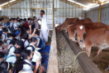 Vrindavan Farm Visit