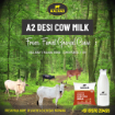 A2 Desi Cow Milk