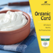 Farm Fresh Curd