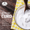 A2 Desi Cow Curd